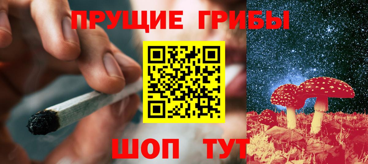 Галлюциногенные грибы Psilocybe Красногорск